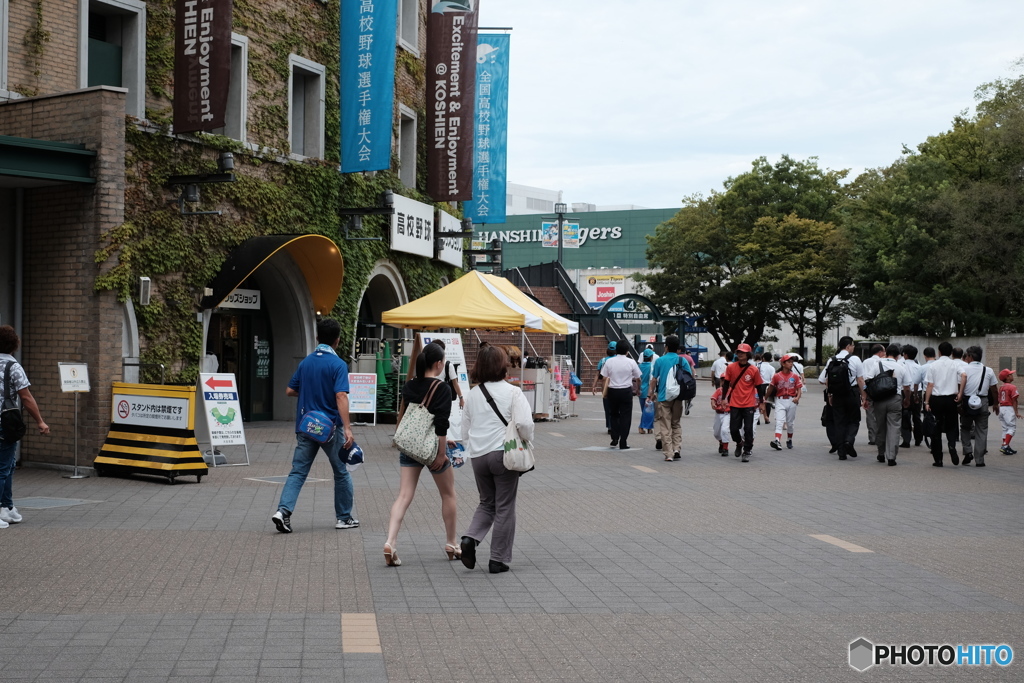 夏・甲子園　球場周り