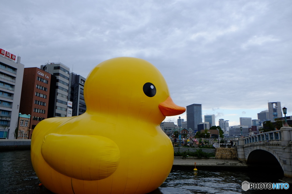 ラバーダッグその2