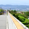 夏の残り香