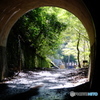 福知山線廃線跡ハイキングコース（秋）03