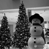ツリー＆スノーマン