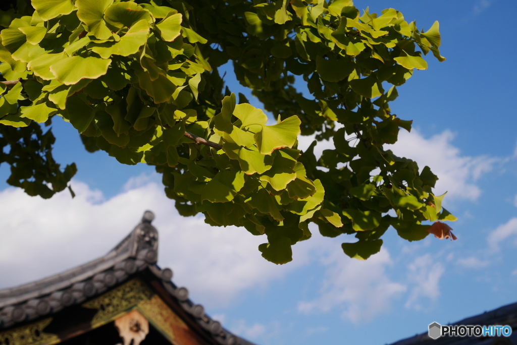 四天王寺02