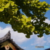四天王寺02