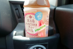 宮古島ハイビスカスティー！