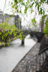 眼鏡橋×柳