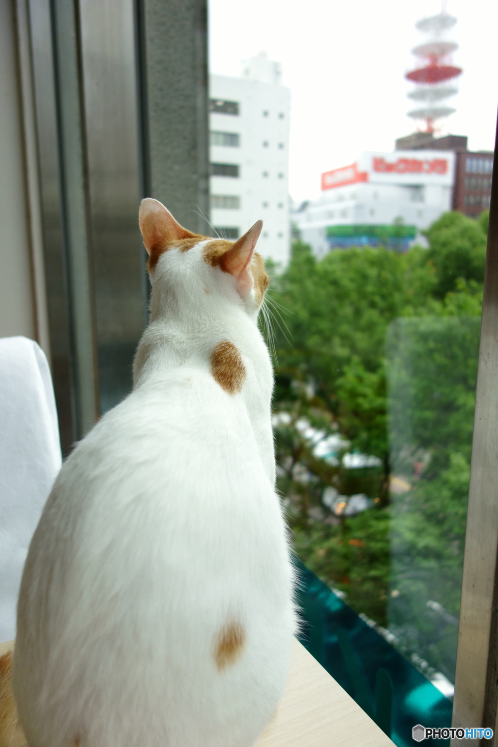 ビックカメラ行きたいわぁ。