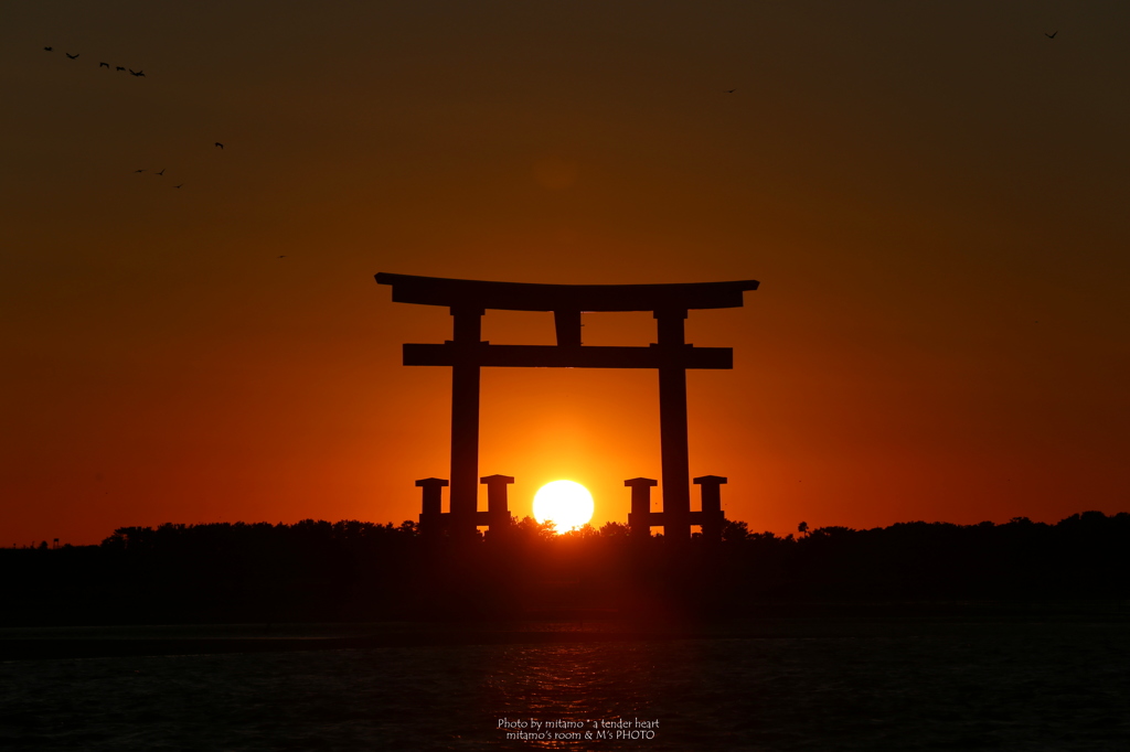 鳥居に沈む夕陽