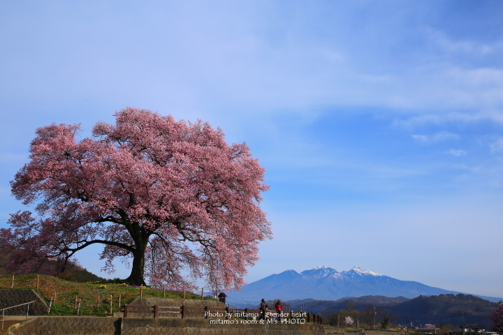 ひと時の時間