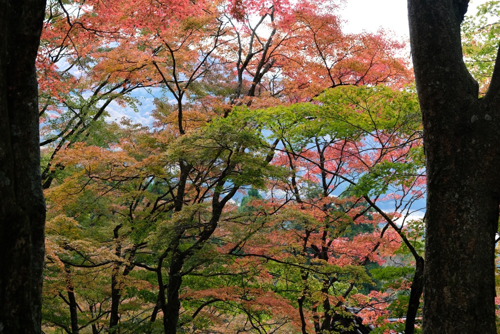 箱根  長安寺