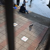 大岡川散歩