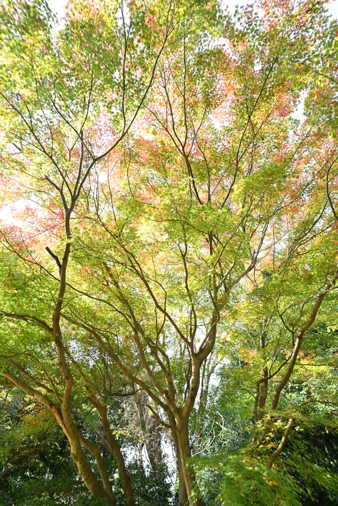 金沢自然公園