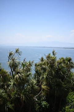 江の島からの景色