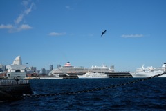 yokohama