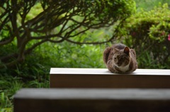 まあお座りなさい