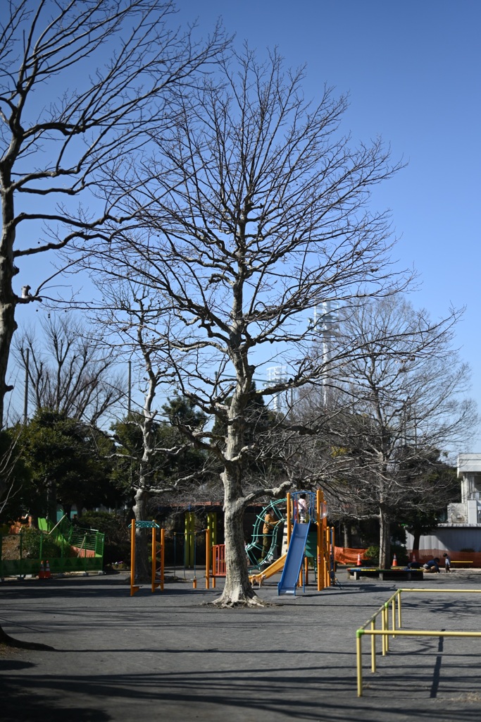 岡村公園