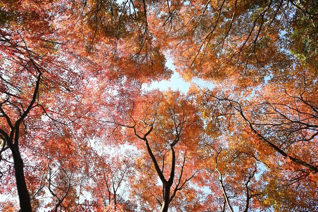 金沢自然公園