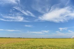 佐原の風景