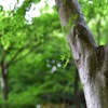 艶っぽく