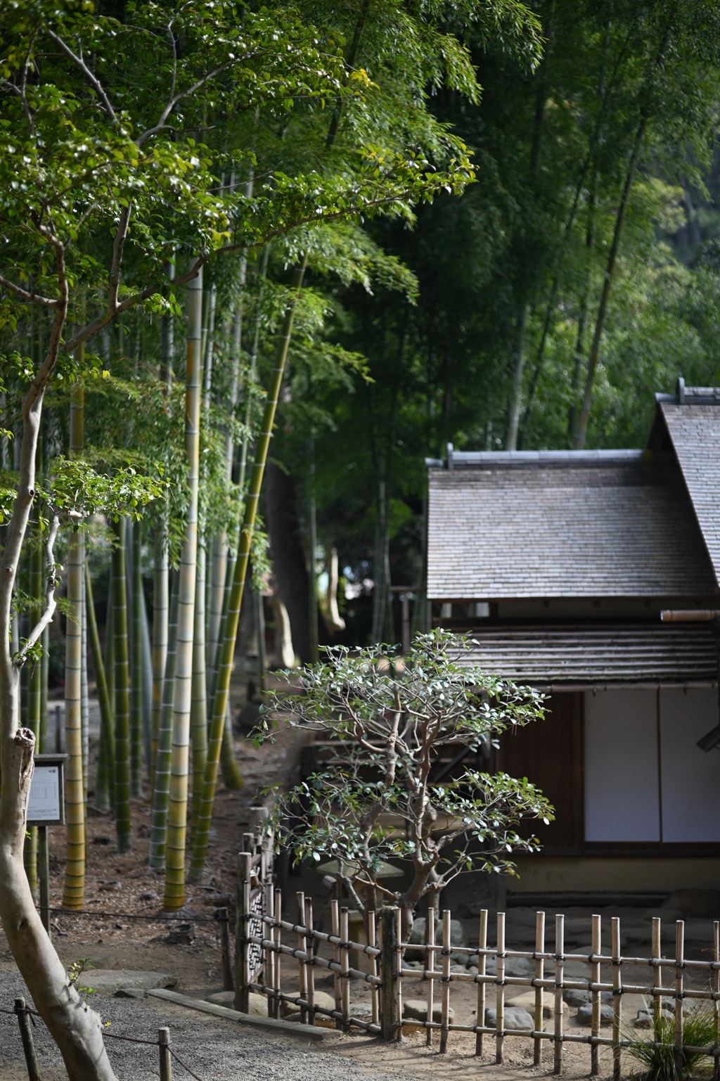 三渓園