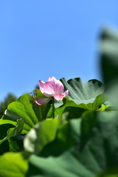夏本番