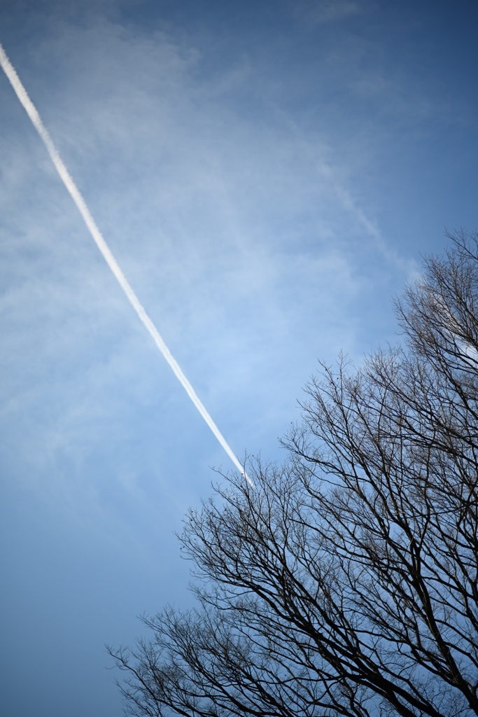 ヒコーキ雲