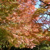 舞岡公園で遊ぶ