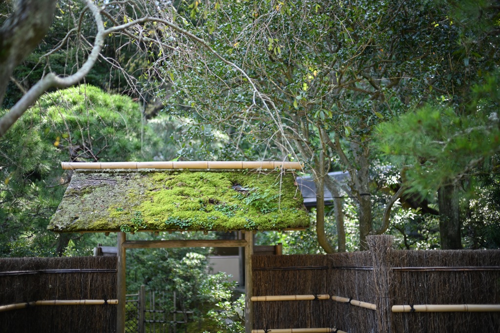 東慶寺を散策