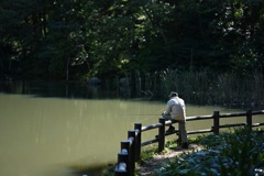 老人と池
