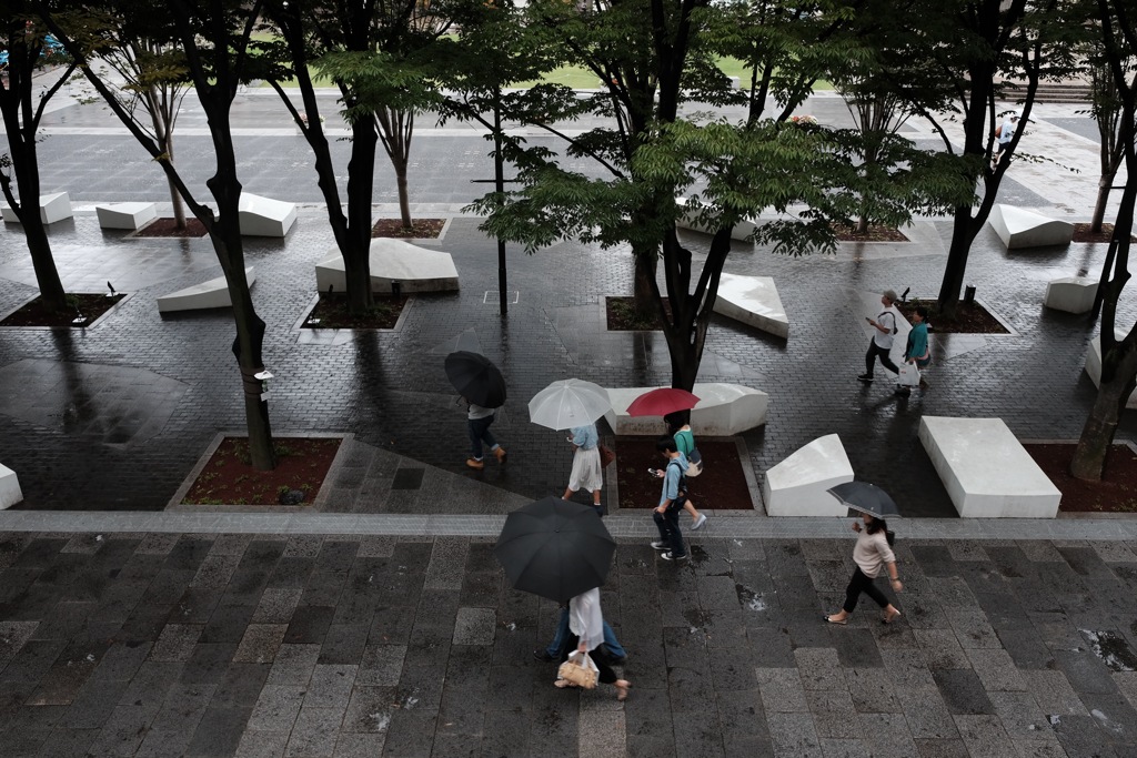 雨の中