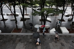雨の中