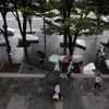 雨の中