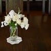 ベーリックホールの白い花