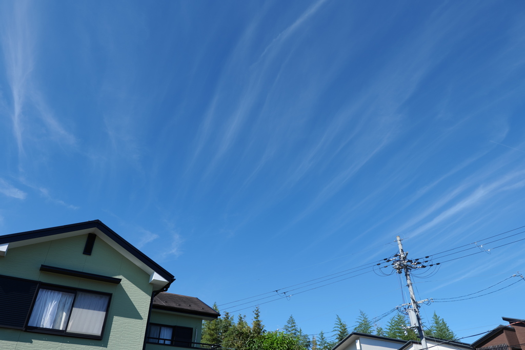 あおぞらとすじぐも
