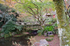 試写