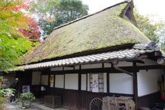叶 匠壽庵 寿長生の郷にて