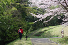 お散歩