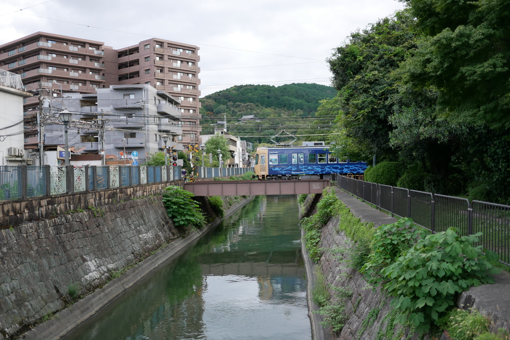 琵琶湖疏水より