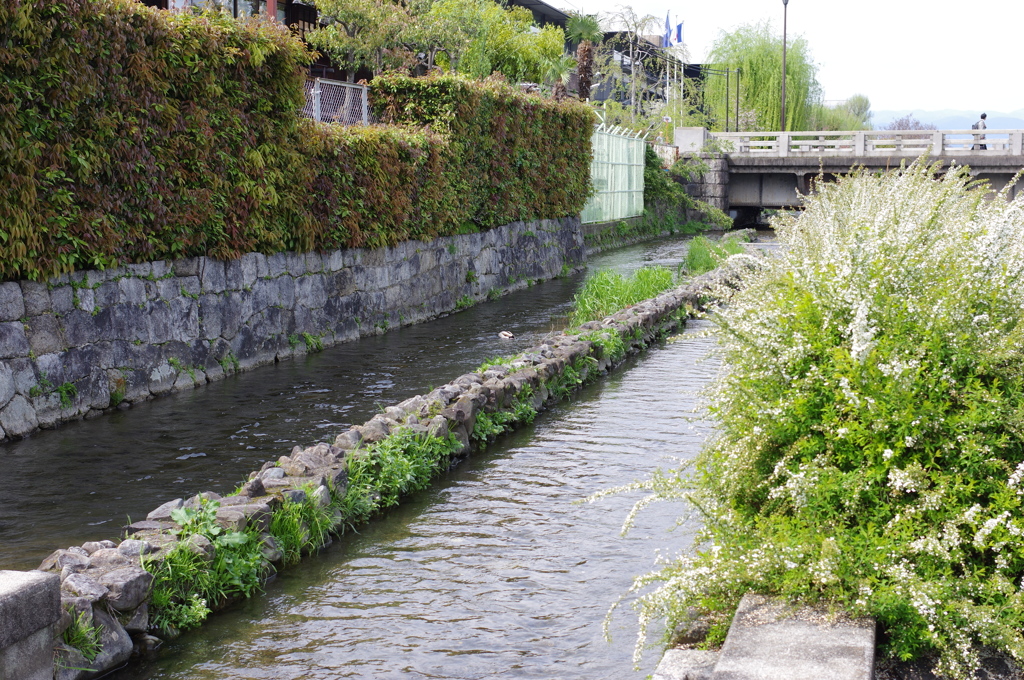 みそそぎ川