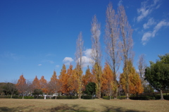 冬の公園