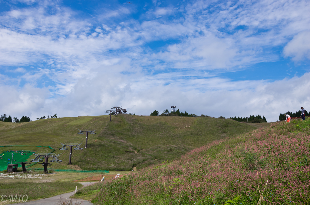 箱館山