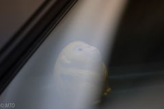 神猿さん