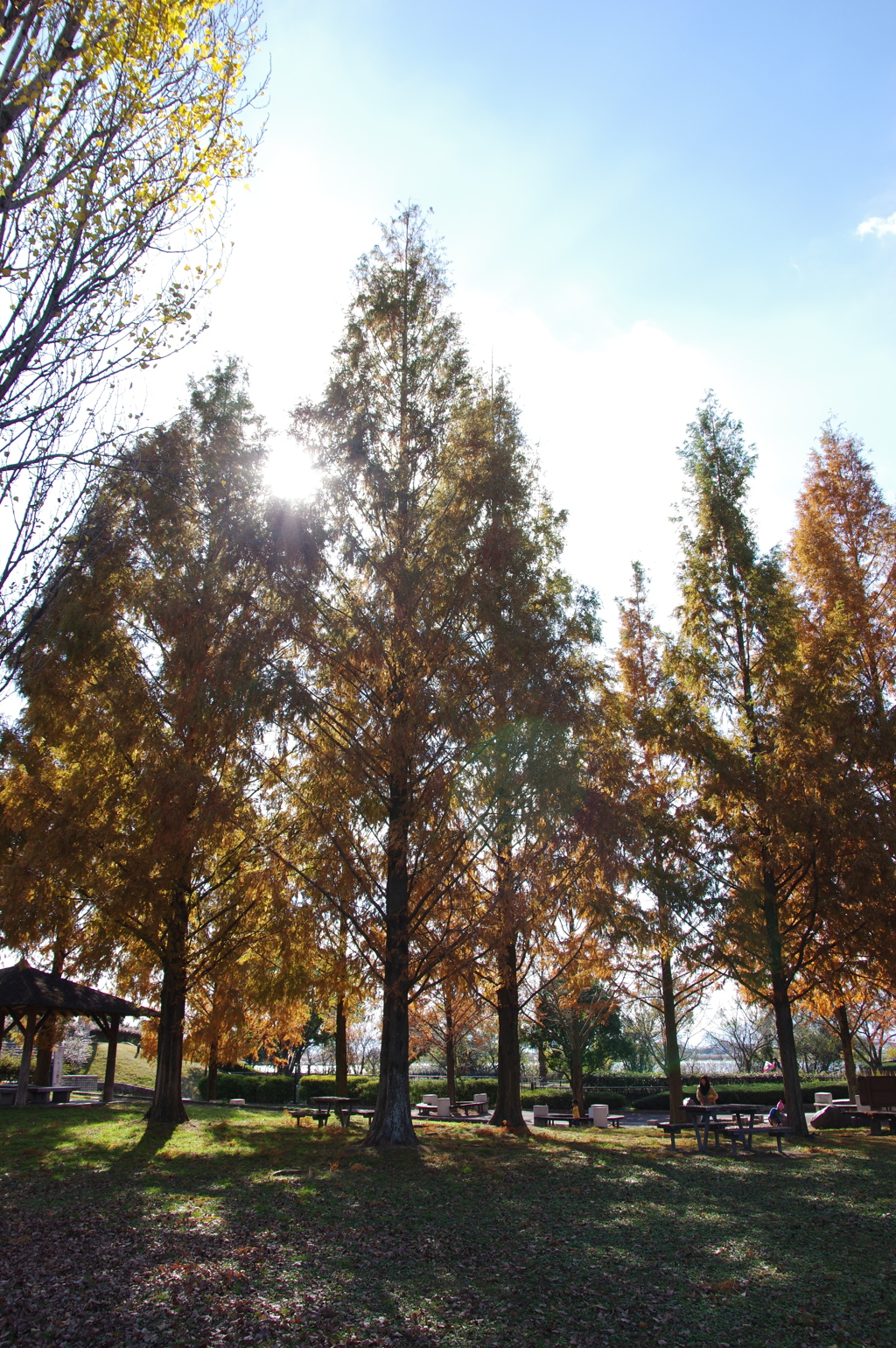 公園にて