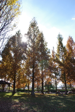 公園にて