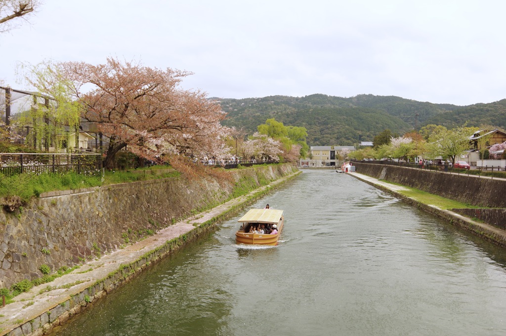 岡崎