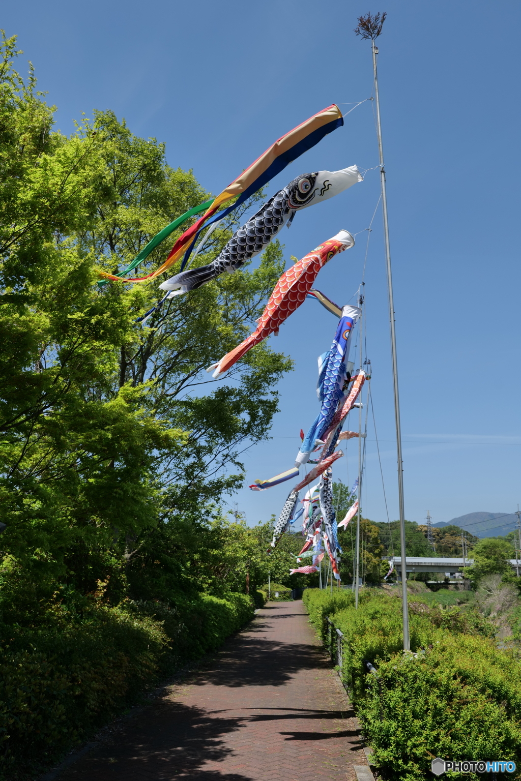 もう一枚追加