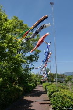 もう一枚追加
