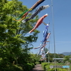 もう一枚追加