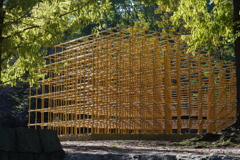 ジャングルジム２