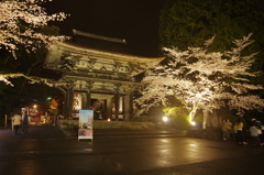 夜桜　園城寺にて