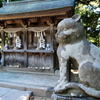 狛猫　吽